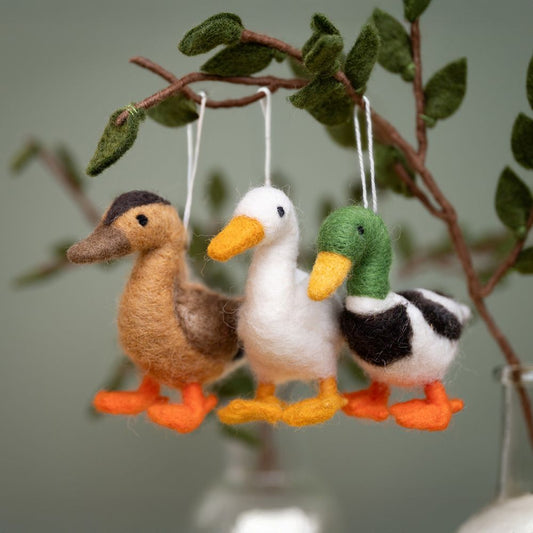 Vilten Watervogels - Diverse soorten