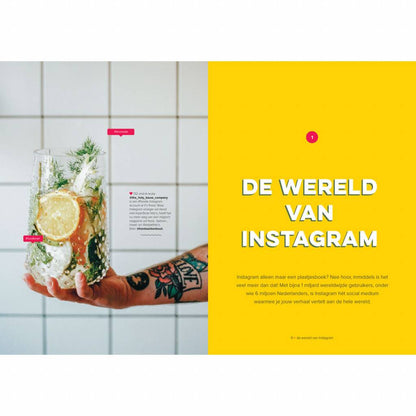 Instaproof - Succes op Instagram