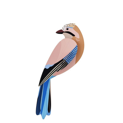 Birds; Jay