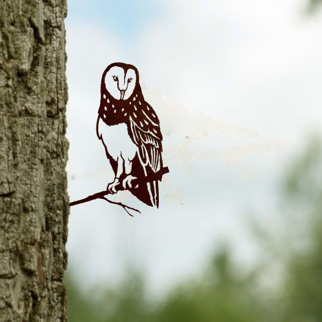 Bird Silhouette Barn Owl