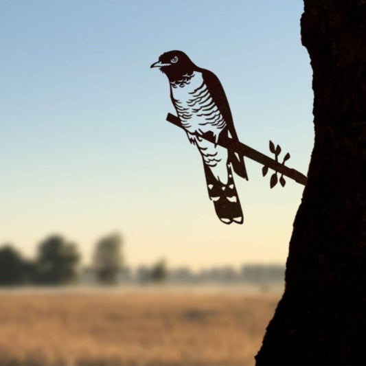 Bird Silhouette Cuckoo