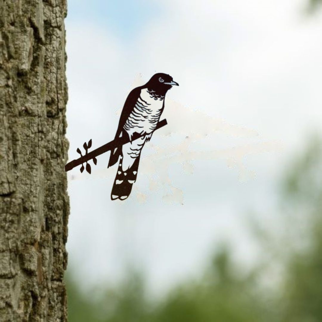 Vogelsilhouet Koekoek