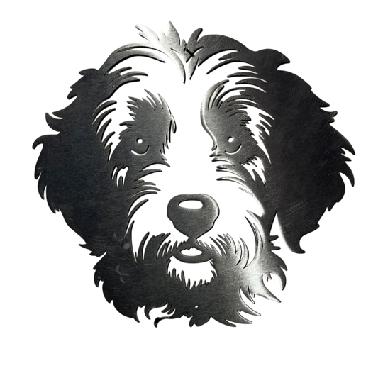 Labradoodle