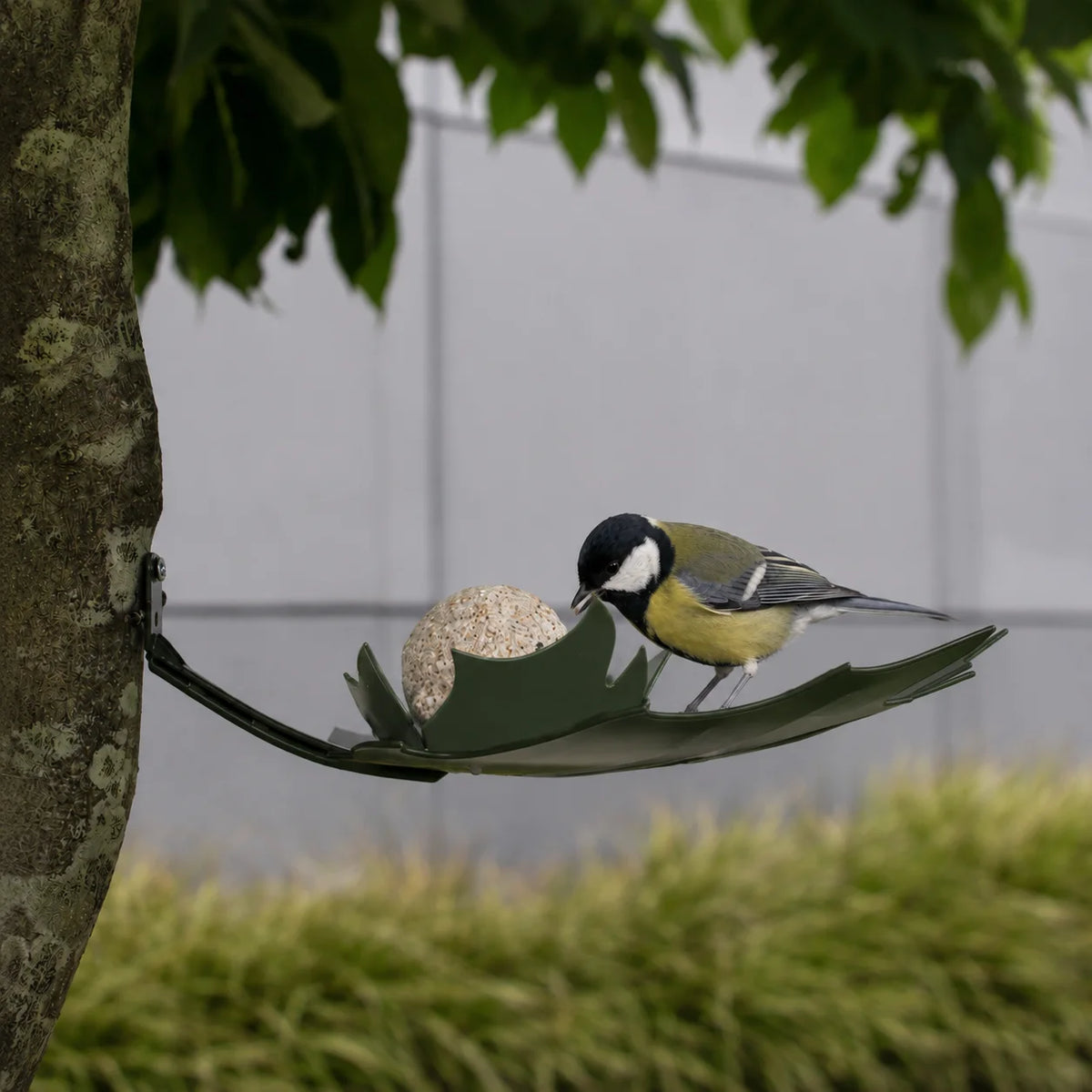 Leaf Me – Wand-vogelvoederschaal - Diverse Kleuren
