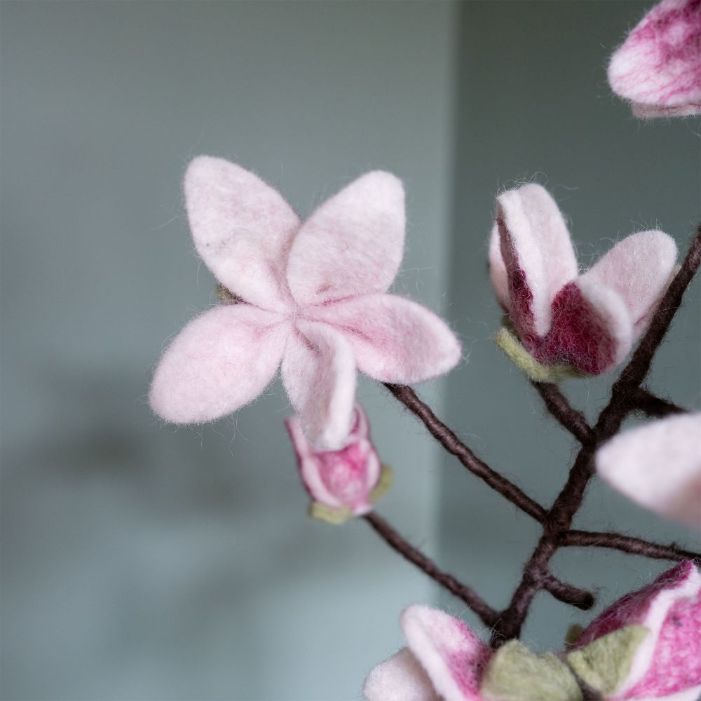 Vilten Tak Magnolia