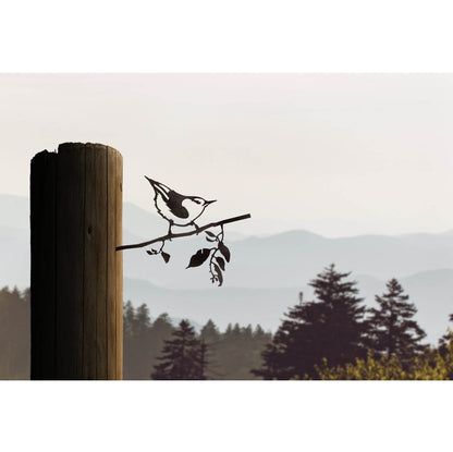 Bird Silhouette Nuthatch