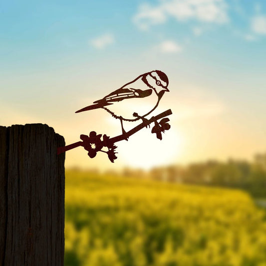 Bird Silhouette Blue Tit