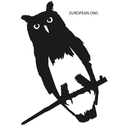 Window sticker Owl