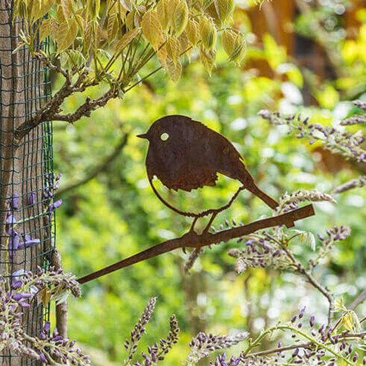 Vogelsilhouette Rotkehlchen