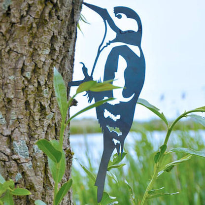 Vogelsilhouette Buntspecht