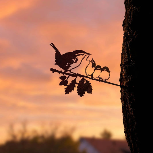 Vogelsilhouette Zaunkönig mit Jungen