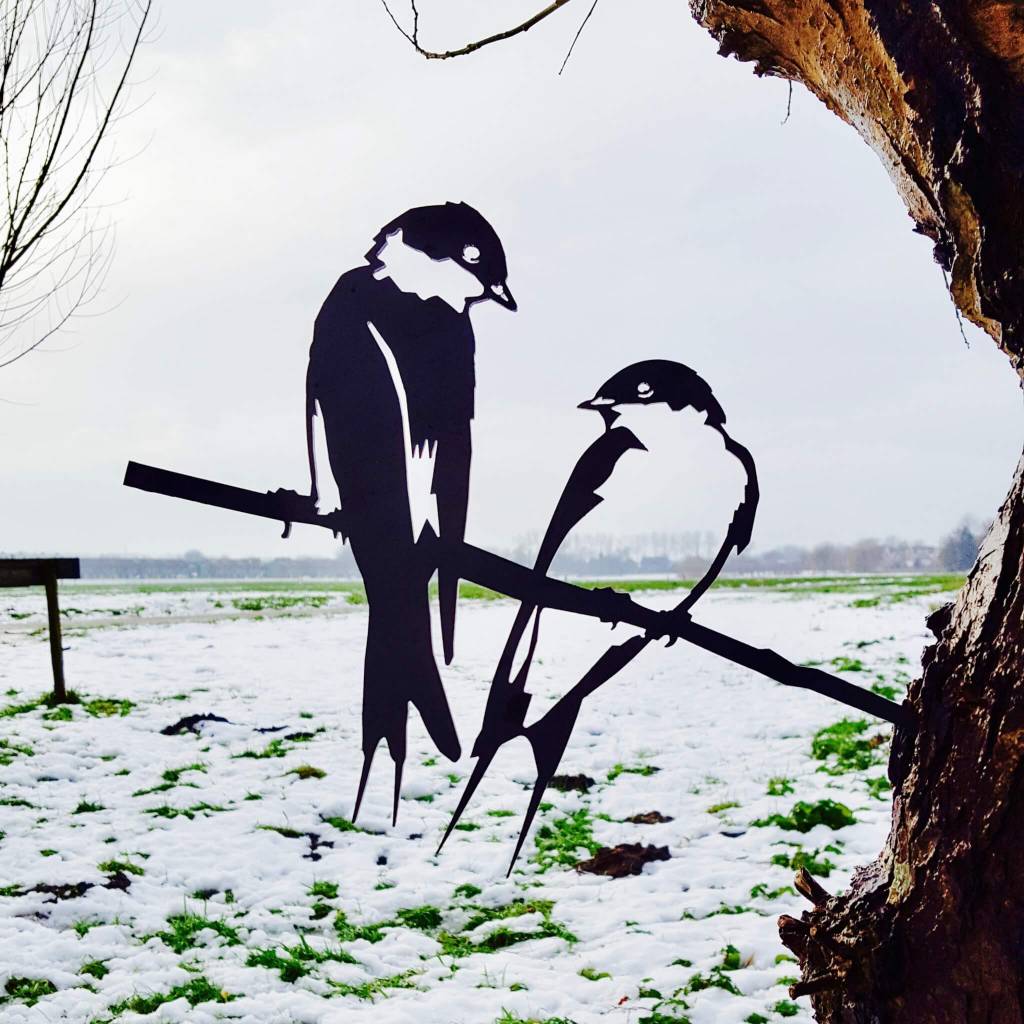 Bird Silhouette Swallow Couple