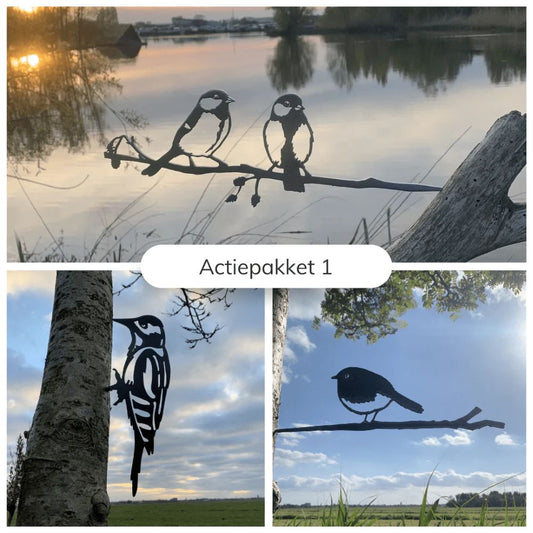 Actie Pakket 1 - Koolmezen, Grote Bonte Specht en Roodborstje