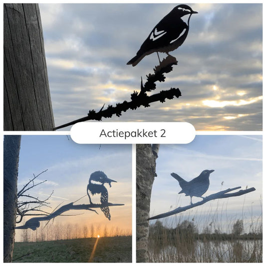 Actie Pakket 2 - Tjiftjaf, Merel en IJsvogel