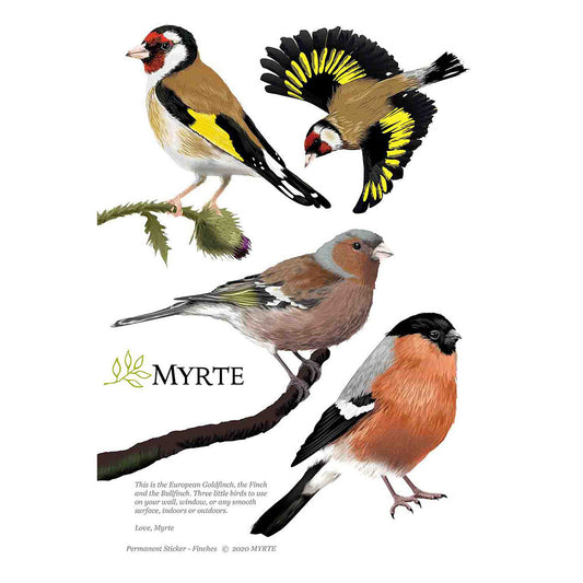 Muursticker Vogels - Diverse Varianten