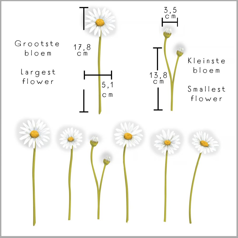 Dubbelzijdige Raamsticker Bloemen en Insecten - Diverse Varianten