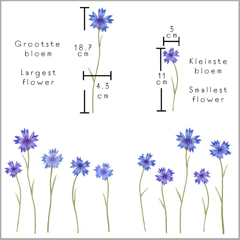 Dubbelzijdige Raamsticker Bloemen en Insecten - Diverse Varianten