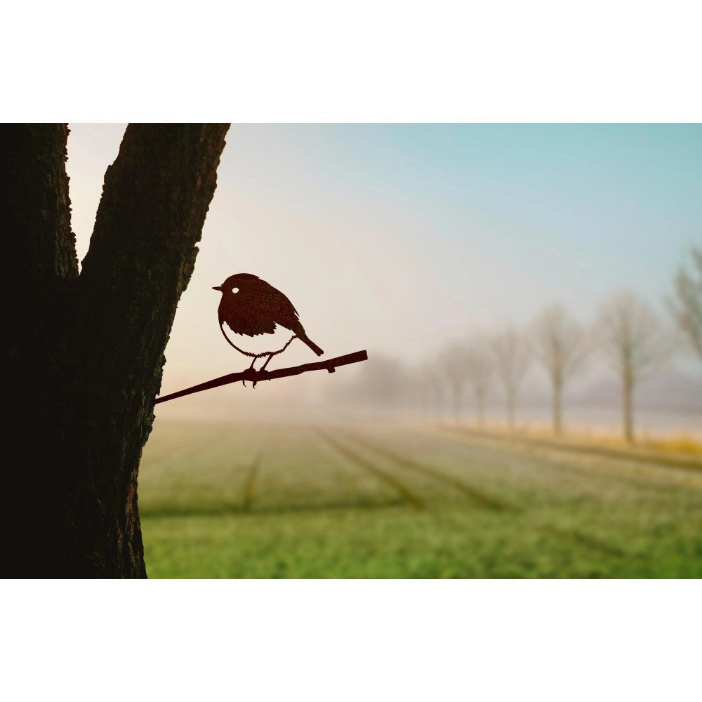 Bird Silhouette Robin