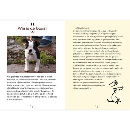 Hundehandbuch für Besitzer