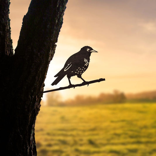 Bird Silhouette Starling