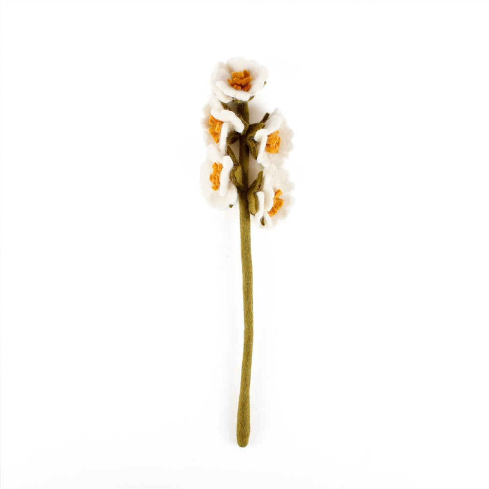 Stockrose - Verschiedene Farben