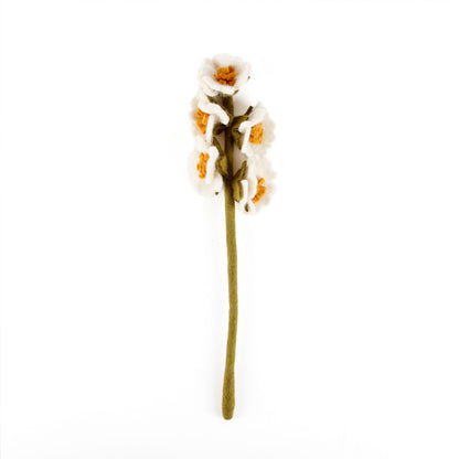 Stockrose - Verschiedene Farben