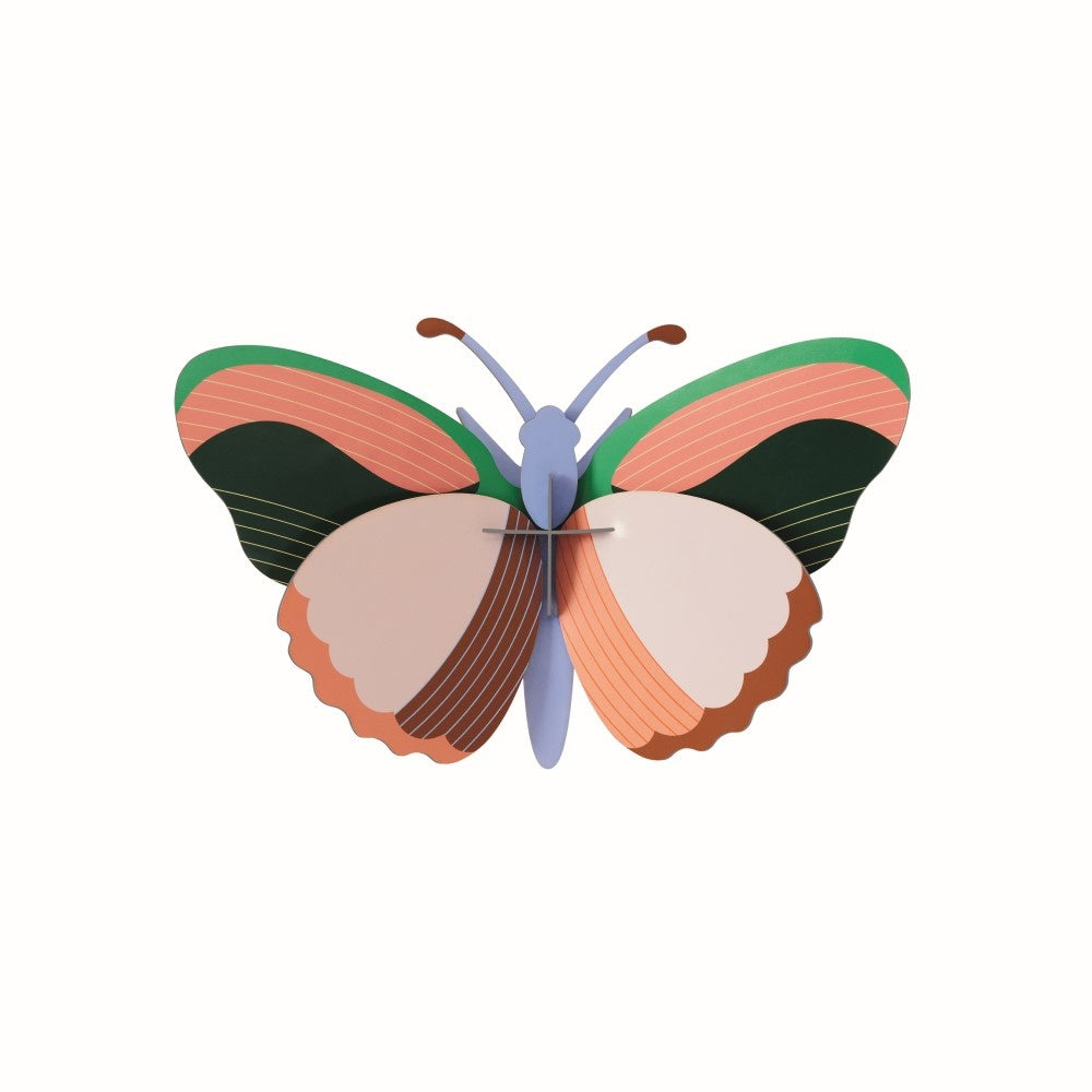 Butterfly Medium - Various Variants