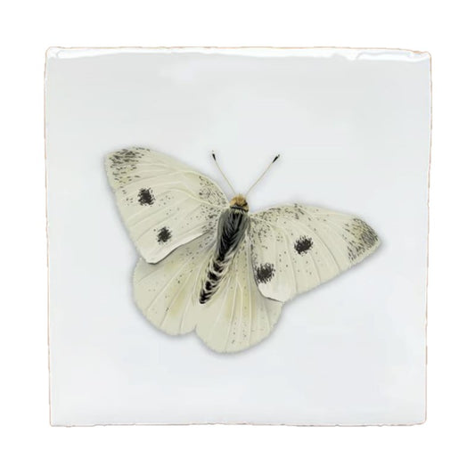 Vintage Tegel Insecten - Diverse Varianten