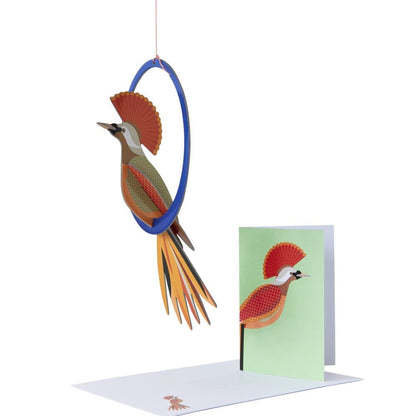 Pop-out card Bird - Various Variants