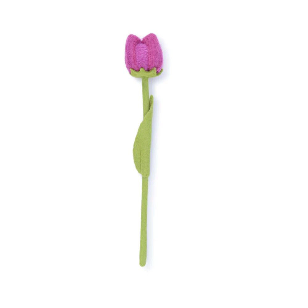 Tulp Wolvilt - Diverse Multicolors