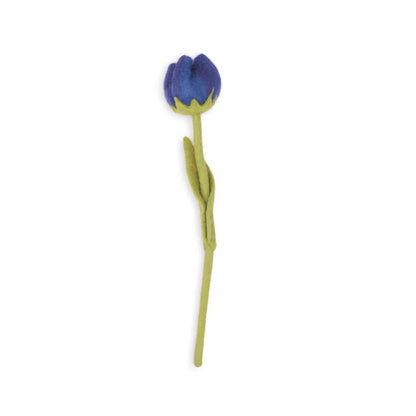 Tulp Wolvilt - Diverse Multicolors
