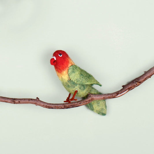 Vilten Tropische Vogels: Diverse Soorten