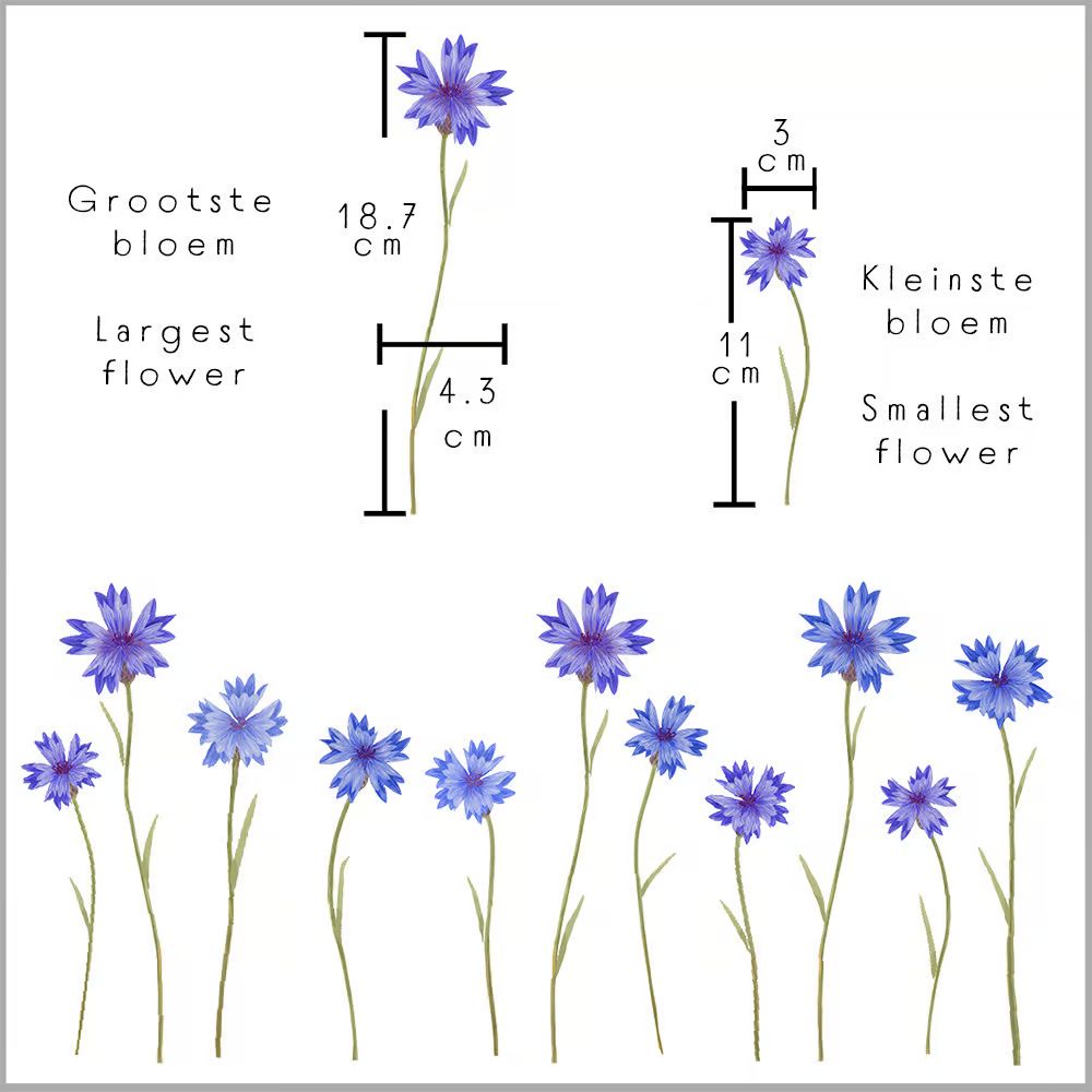 Muursticker Bloemen & Insecten - Diverse Varianten