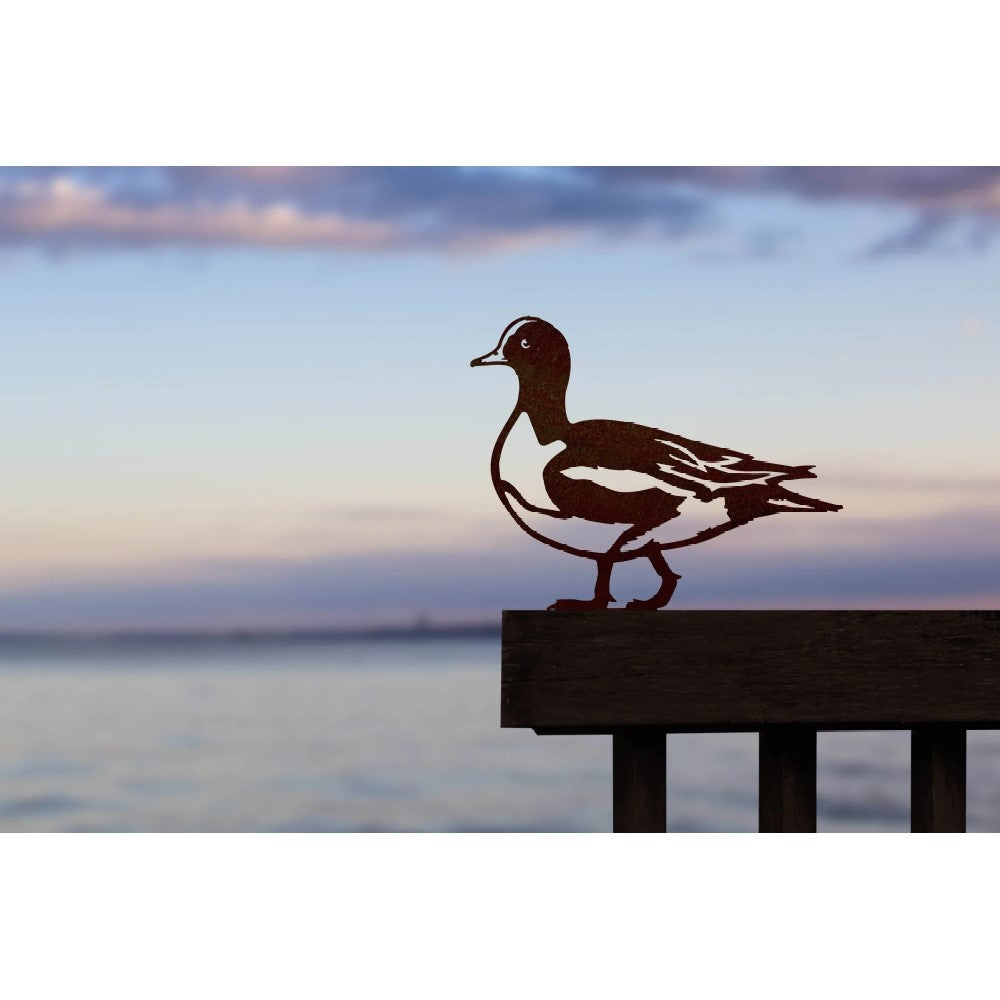 Bird silhouette Eurasian Wigeon