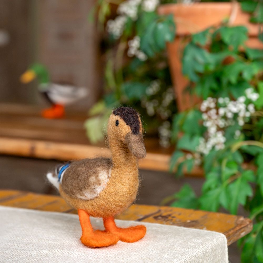 Decoratie Eend - Diverse Varianten