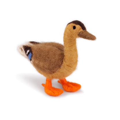 Decoratie Eend - Diverse Varianten