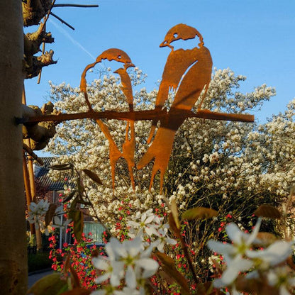 Bird Silhouette Swallow Couple